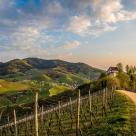 Solarzellen mit integriertem Energiespeicher