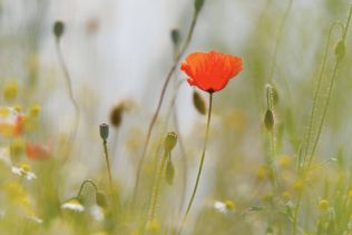 25 Jahre Weblication®